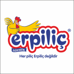 erp